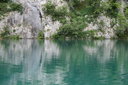 gal/cro 08/_thb_small-IMG_5608.JPG